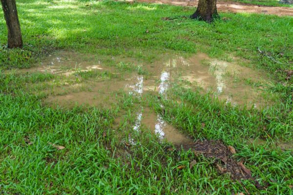 Storm Water Drainage Service in East Lansing