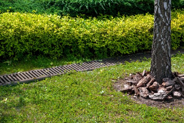 Residential Landscape Drainage in East Lansing
