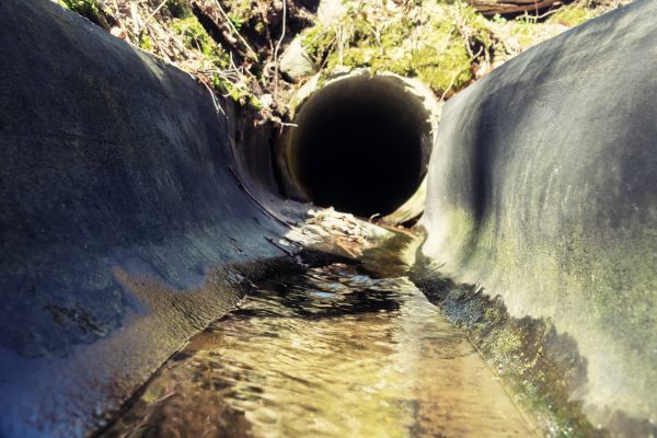 Drainage Swale Installation in East Lansing