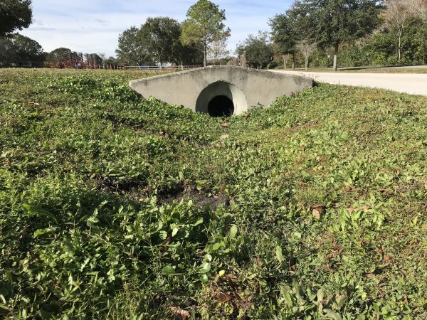 Cost of Swale Drainage Service in East Lansing